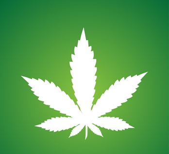 Cannabis thérapeutique